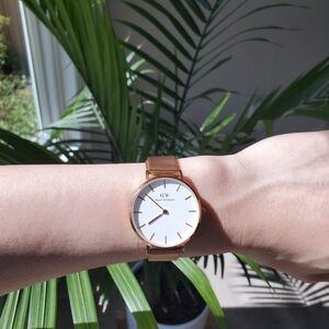 Daniel Wellington Rose Gold Mesh Watch with White Dial